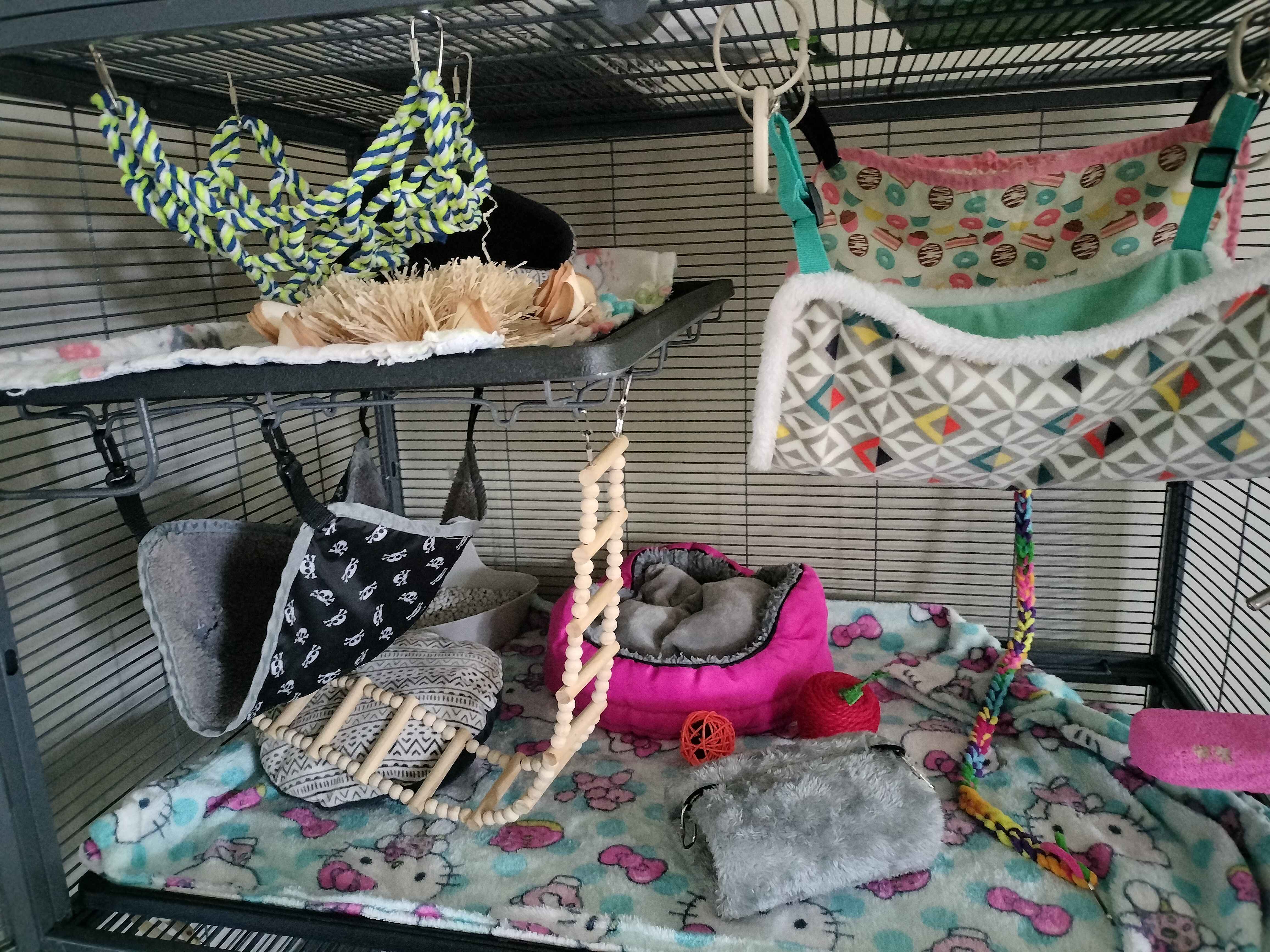 The top section of a Critter Nation cage, filled with hammocks, beds, and toys.